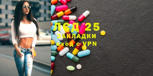 индика Корсаков