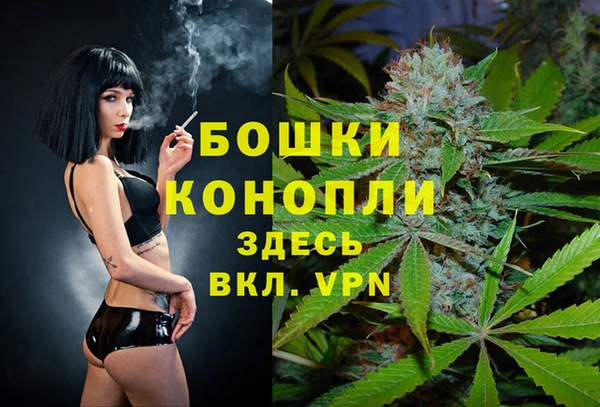 твердый Коряжма