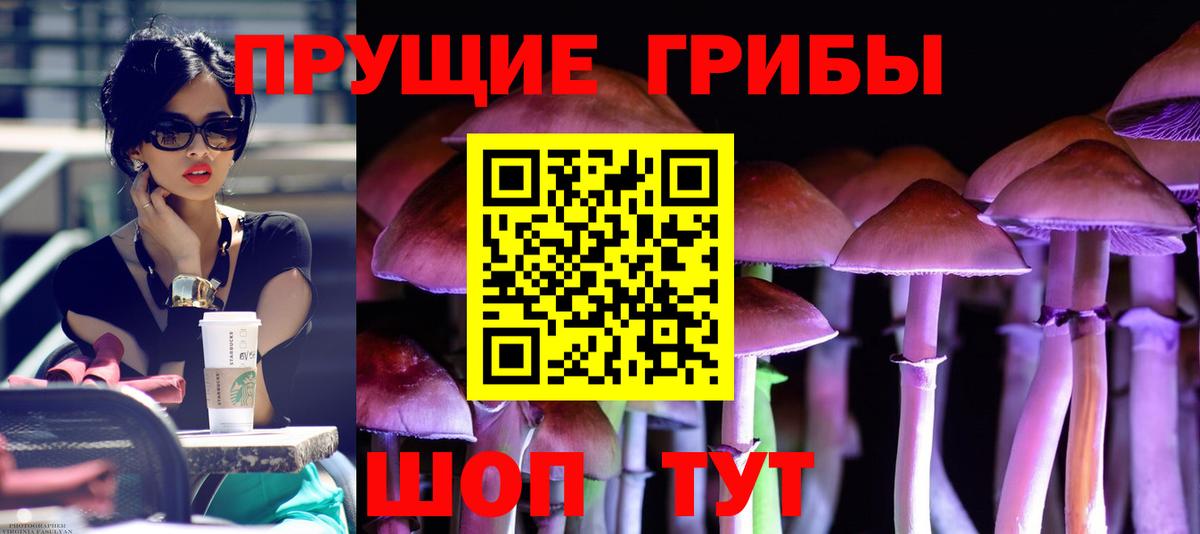 Крымск  даркнет сайт  Галлюциногенные грибы MAGIC MUSHROOMS  Вход с VPN  Галлюциногенные грибы MAGIC MUSHROOMS 